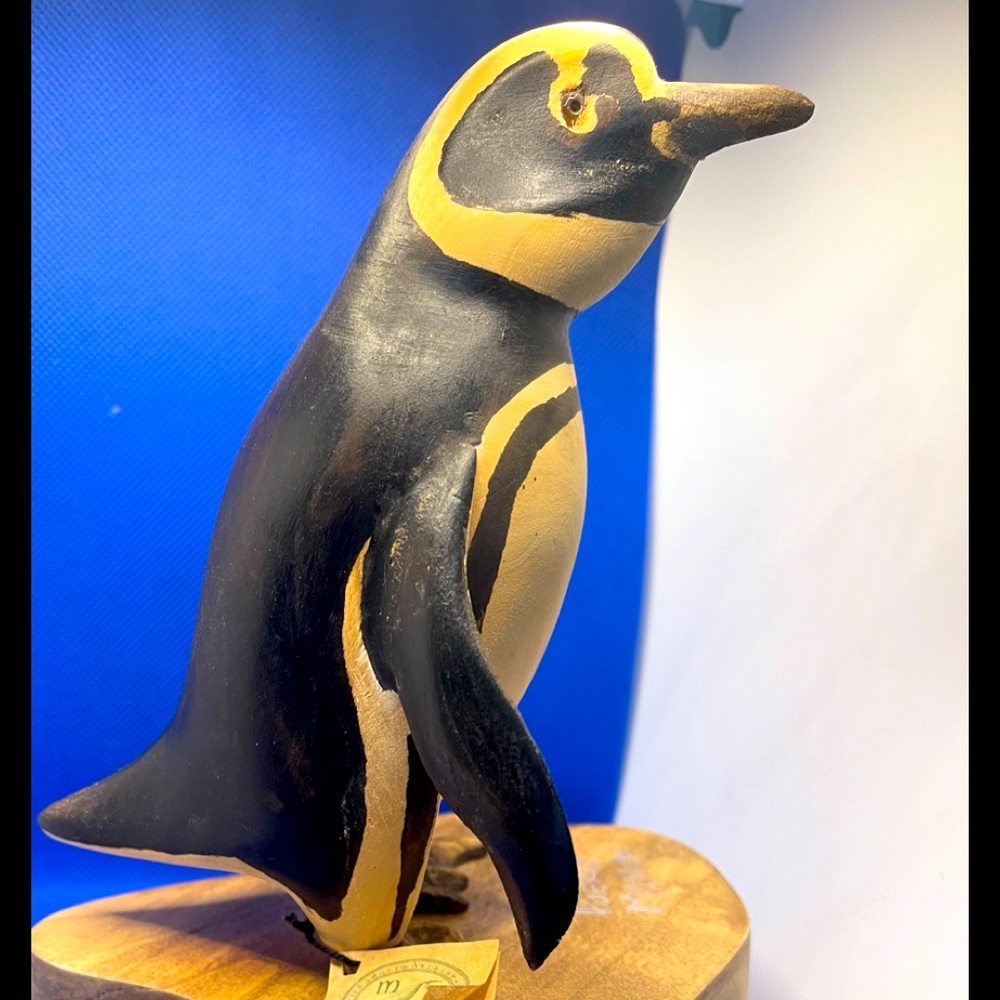 Puerto Madryn Penguin from Argentina - Picture 5 of 7